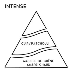 Lessive Intense
